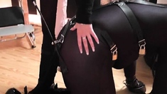 Femdom fetish bdsm mistress hoes