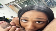 Amateur chick and her blowjob talent