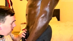 Ha Me Collared At His Feet Like a Good Pup