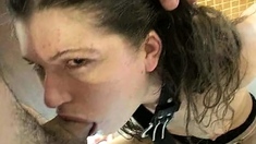 Hot Amateur Close Up Doggy Style Hd Video