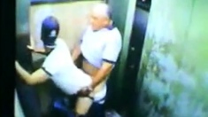 Daddy Bear And His Young Cub Caught On Camera