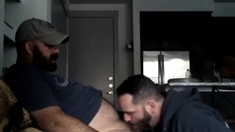 Latino Amateur Blowjob Mit Cum Tribute