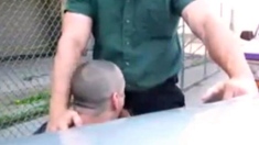 Daddy's Outdoor Lunch Break Blowjob